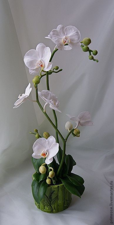 رنگ روغن اورژینال